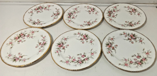 Paragon victoriana rose side - paragon,