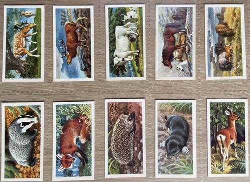 Complete set brooke bond - a,
