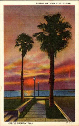 Corpus christi postcard - corpus,