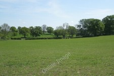 Photo 6x4 Field oaks east of Claverdon Norton Lindsey  c2011