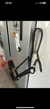 Leather Headcollar. Brown And