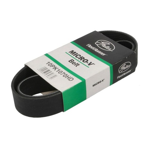 Multi belt fits volvo - volvo, fm12