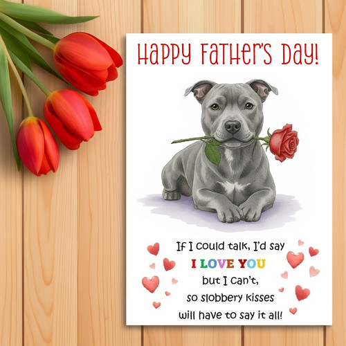 Staffordshire bull terrier - staffordshire,