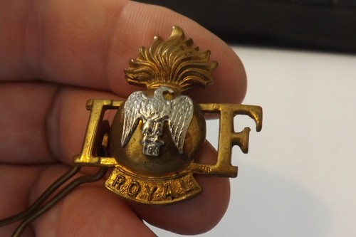 Military badge royal - military, irish