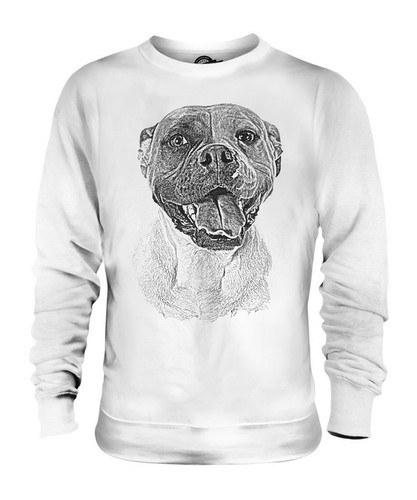 American bulldog sketch - american,