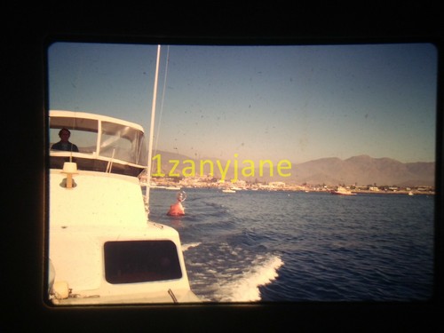 3s19 vintage photo - vintage, slide