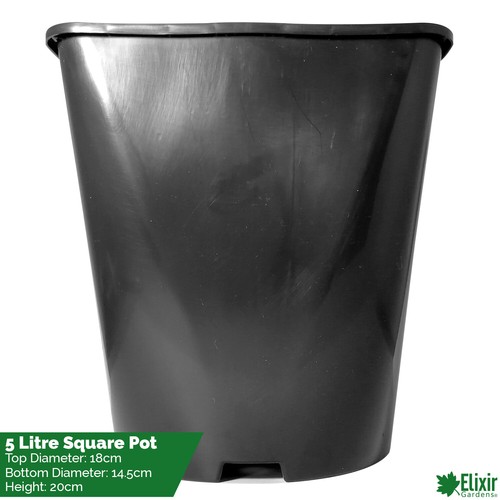 Square plant pot litre - pot,