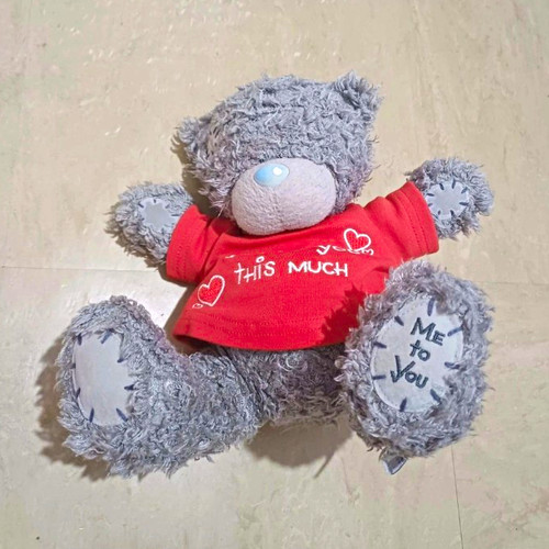 Grey plush teddy bear - grey, red
