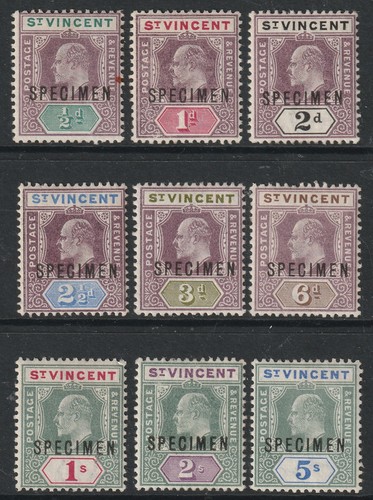Edvii vincent specimen - st,