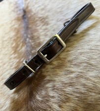 Miniature Horse Small Pony