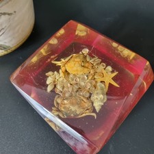 Vintage Faceted Lucite Perspex Seascape Sea Life Crab & Shells Paperweight