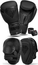 Boxing Gloves and Focus Pads