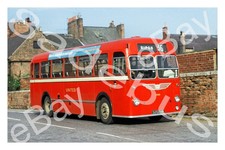 Bus Photograph UNITED AUTOMOBILE 5050 HN [2650] '73