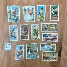 Bird Portraits 1957 Brooke Bond set x 16 cards (13 different)
