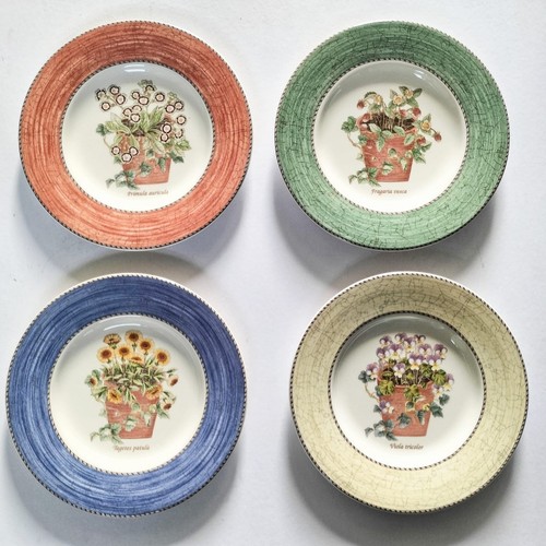 Wedgwood sarah garden - garden, salad