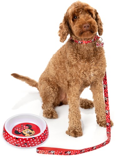 Disney bowl collar charm - disney,