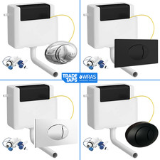 Dual Flush Concealed Toilet