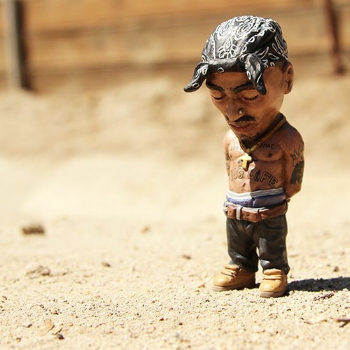 Hip hop rapper - rapper, shakur