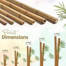 Heavy-Duty Bamboo Canes Natural Plant Support Stick Poles Outdoor Garden Canes