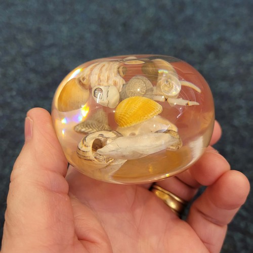 Vintage resin seashell - vintage,