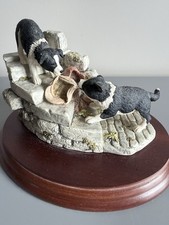Border Fine Arts Collie Pups