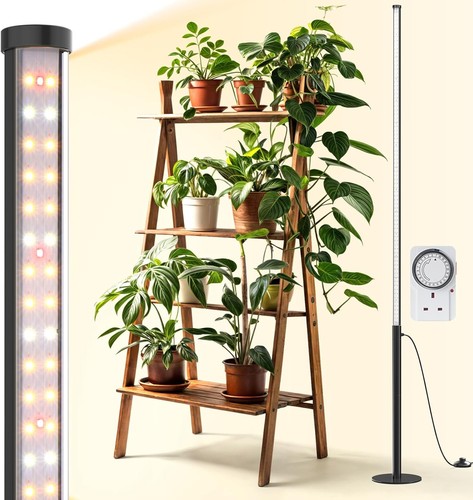 Barrina t10 pro - pro, standing