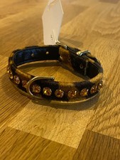 Mirage new stunning tiger dog