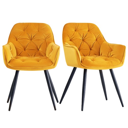 Velvet dining chairs padded - velvet,