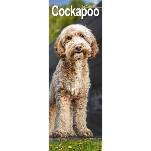Cockapoo slim 2027 calendar - slim,