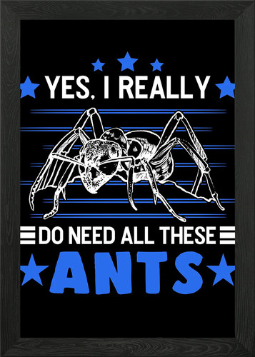 Ants ant farm anthill - ant,