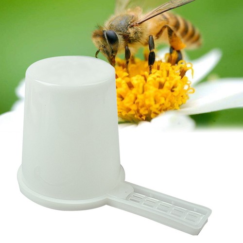 Bee feeder beehive drinking - beehive,