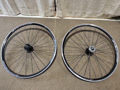 Oval concepts vera - concepts, corsa