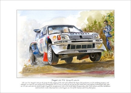Peugeot 205 t16 - t16, (group