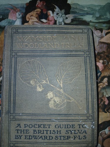 Vintage book wayside and - -,