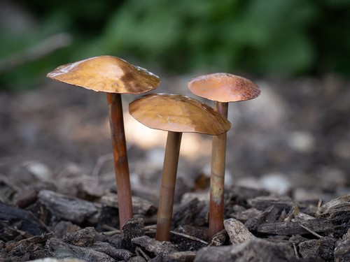 Handmade copper - 3x,
