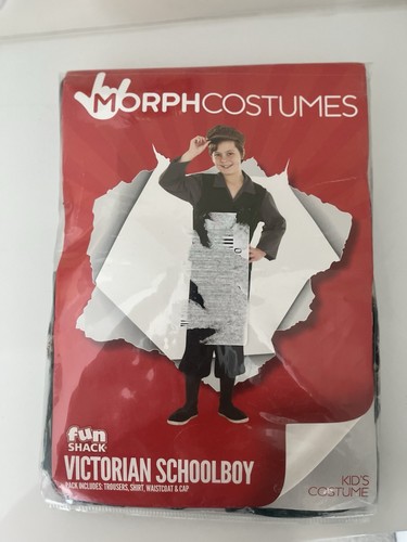 Victorian schoolboy fancy - victorian,