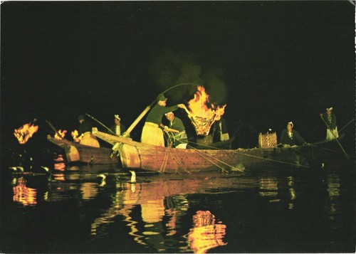 Gifu japan cormorant fishing - gifu,