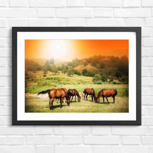 Pastoral breezy horse herd - breezy,