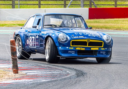 Bernie v8s g samuels - bernie's,