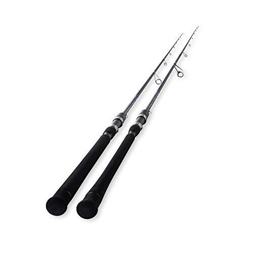 Tenryu spinning rod swat - rod,