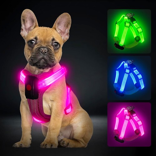 Pzrlit light dog harness - dog,