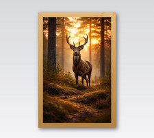 Red Stag Golden Sunrise