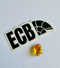 Baltic Amber with Mosquito Inclusion 100% Real, No Fakes, UK Seller 🇬🇧