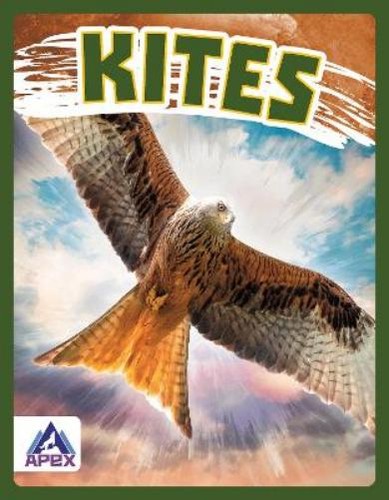 Connor stratton kites - connor,