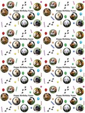 Guinea Pigs Personalised Birthday Gift Wrapping Paper 3 Designs ADD NAME