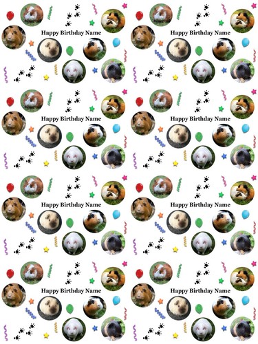 Guinea pigs personalised - guinea,
