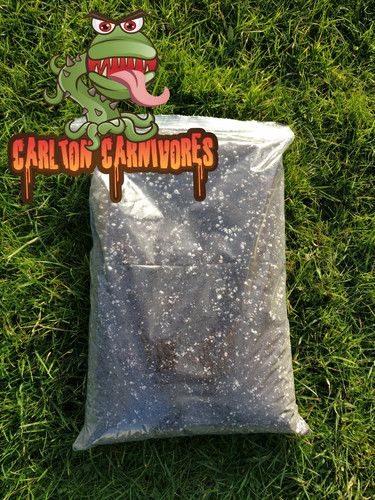 Litre carnivorous plant - 5,