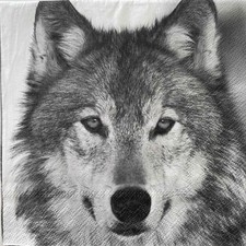 2 x luncheon paper napkins for decoupage Wolf wild animals