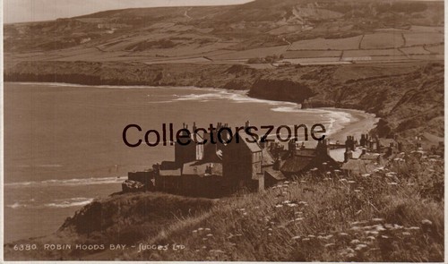 Robin hoods bay real - robin, photo