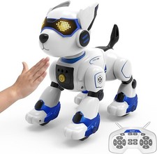 Remote control robot - control,